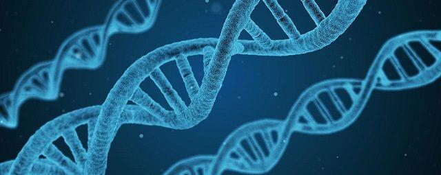 精子DNA碎片指数(DFI)的概念及其对胚胎质量的影响