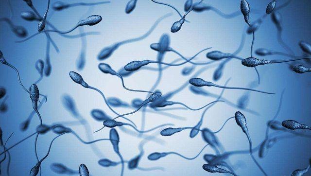 怎么样降低畸形精子率，学会5个方法告别不育