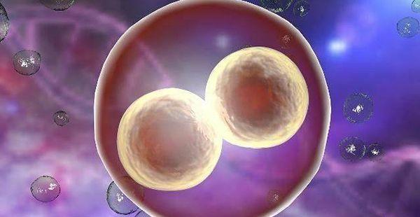 女性每个月的基础卵泡多少才正常？具体范围值是多少？