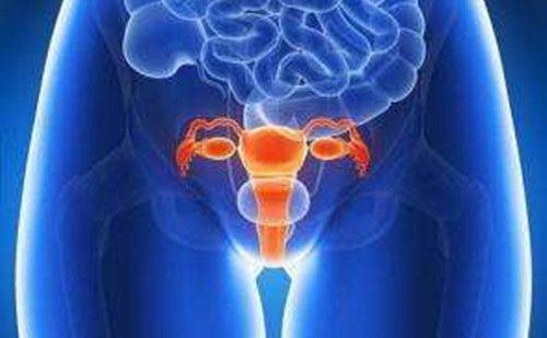 警惕！女性性欲低，卵巢功能不全是卵泡膜细胞瘤的征兆