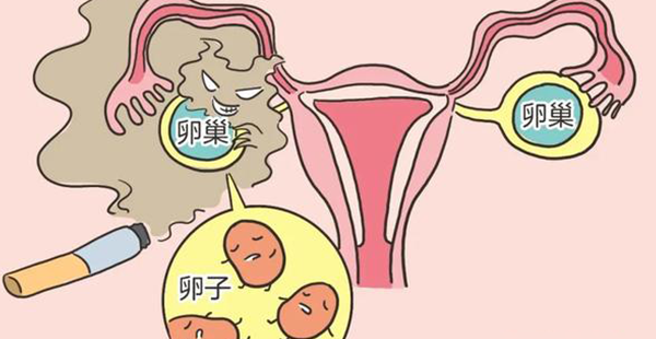 损害卵巢的这4种行为，每个姐妹都有可能中招！