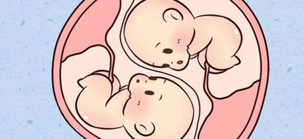 家里没有双胞胎基因自然受孕怀龙凤胎的几率有多大？