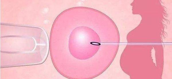 六天的5ba是一级优质囊胚吗？