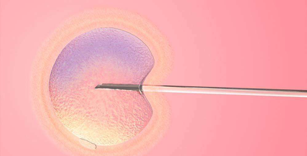 囊胚3bc是什么意思?认识移植成功率和质量好坏看这里