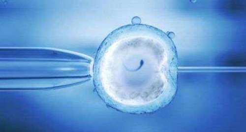 试管准备移植囊胚怎么样才能提高成功率？