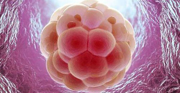 4bb和3bb囊胚质量怎么样？都适合移植吗？