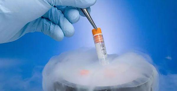 试管囊胚解冻要多长时间后才能进行移植？