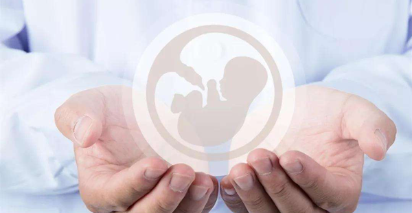 试管囊胚移植成功后，学习收藏这3招降低胎停概率