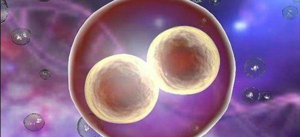 优胚840是属于什么等级的胚胎？