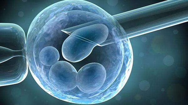 优胚和普胚区别真的大，分辨不清会影响试管成功率