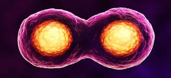 胚胎达到几级后才能算是优胚？