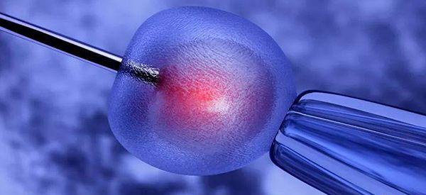 试管优质胚胎是几级细胞？