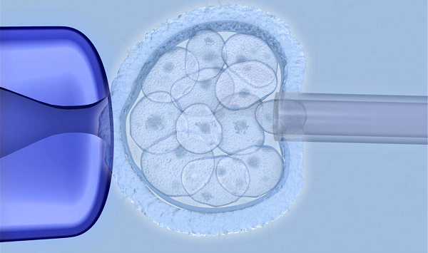 揭露试管辅助孵化的利与弊，损伤胚胎这事可大可小