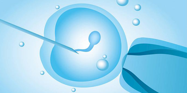 别老想着试管生双胞胎！单胚胎移植成功率高更安全