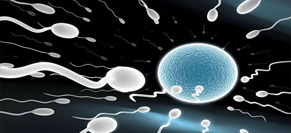 排卵试纸强阳和转弱哪个同房受孕的几率更高？