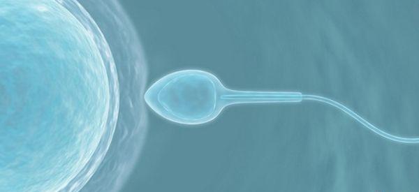 取卵当天想移植鲜胚，最迟多久必须要取精子？