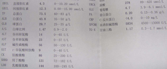 血清前白蛋白460算高吗?不同人群正常参考范围一览