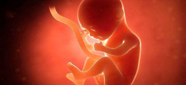 女宝宝出生时的颜值取决于怀孕哪个阶段？