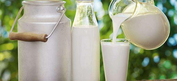 孕妇能喝的不含乳糖的纯牛奶有哪些国产牌子？