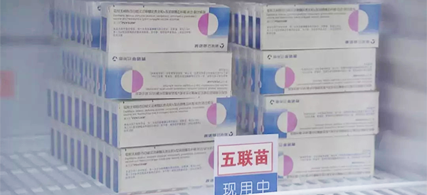 进口五联疫苗北京市哪家医院有货？