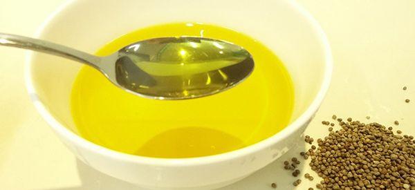 为什么6个月宝宝要慎吃麻籽油和橄榄油？