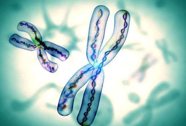 染色体存在平衡易位的情况，做三代试管能解决吗？
