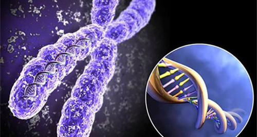 常染色体显性遗传病有什么特点？一定会发病吗？