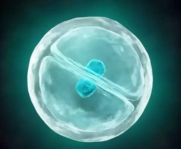胚胎质量差是试管移植不着床的原因吗？