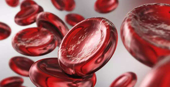 炎症/障碍性贫血均会减少!转换铁蛋白偏低的原因解析
