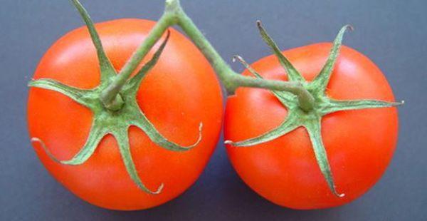 孕妇梦到吃西红柿是什么意思，是怀男的预兆吗？
