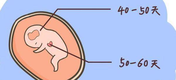 孕7周做b超发现胎心消失了，会是胎停吗？