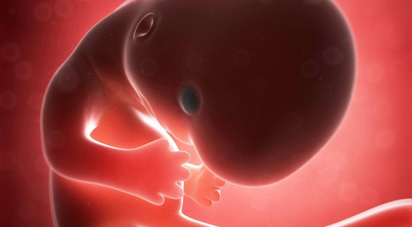 胎停育有3种处理方法，但你知道选择哪种伤害最小吗？