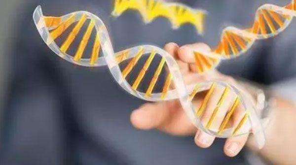 无创DNA和亲子鉴定不是一码事，所谓高准确率并不可信