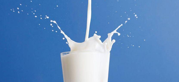 2岁喝启赋三段奶粉和纯牛奶哪个营养更高？