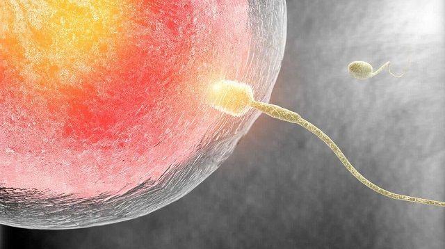 高质量的精子有4点特征，月经不调是女生不孕前兆之一