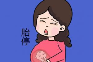 拉肚子是胎停的征兆吗？孕妇在怀孕期间对肠胃是比较敏感的