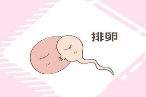盘点女性自测排卵的八个方法，让怀孕变得轻而易举