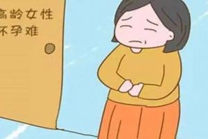 54岁做试管婴儿成功率有多高？身体条件不达标成功率真不高