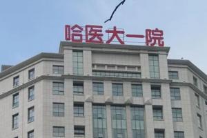 哈尔滨医科大学附属第一医院可以借卵做供卵试管吗？做好这些让你事半功倍