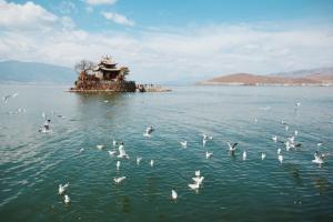 2022云南省第一人民医院试管婴儿成功率高吗？附2022上半年最新数据参考