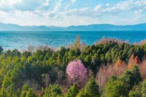 2022云南试管成功率的医院排名榜权威公布！附15家最新助孕成功率及费用