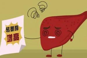 重点公布：转氨酶高少吃六种食物，肝脏或许会感谢你