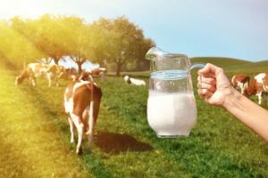 2022贝智康奶粉最新事件遭曝光-添加牛奶香精、营养流失是主要关注点