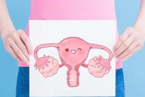 双角子宫能移植两个胚胎吗？听听生殖专家怎么说