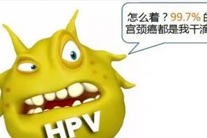 处女会感染hpv病毒吗?生殖带你揭开HPV的面纱