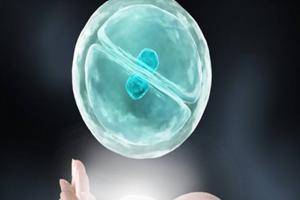 吉林长春借卵生子试管选性别费用5~12万左右，附2022三代试管生男孩最新收费