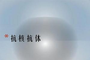 女性抗核抗体阳性1:100影响怀孕么？听听生殖专家怎么说