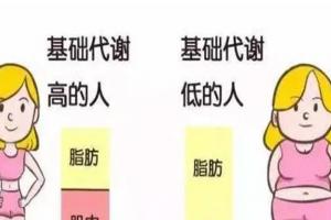 盘点女生基础代谢低的表现，快来看看你是不是易胖体质