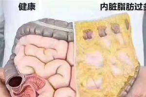 减内脏脂肪最有效的5个方法，让你轻松摆脱大肚腩