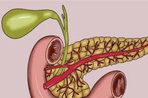 胰腺炎恢复期能吃什么水果？七种水果助你减轻胰腺负担